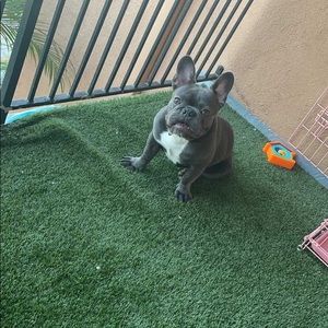 Meet your Posher, James